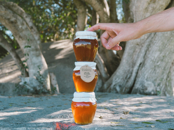 Barrocal Raw wildflower honey / <i>Mel cru de flores silvestres do Barrocal</i>