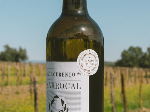 São Lourenço do Barrocal 2016 Regional White, Inaugural Harvest /<i>2016 Branco Regional, Colheita Inaugural</i>