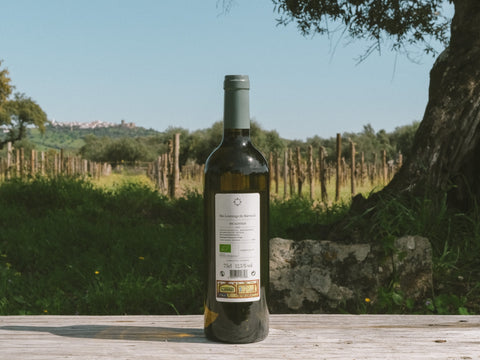 São Lourenço do Barrocal 2016 Regional White, Inaugural Harvest /<i>2016 Branco Regional, Colheita Inaugural</i>