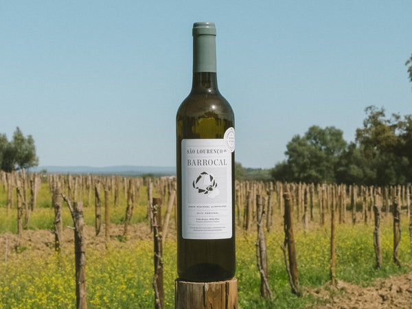 São Lourenço do Barrocal 2016 Regional White, Inaugural Harvest /<i>2016 Branco Regional, Colheita Inaugural</i>
