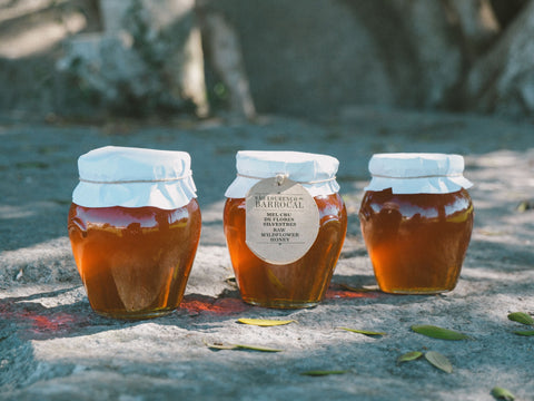 Barrocal Raw wildflower honey / <i>Mel cru de flores silvestres do Barrocal</i>
