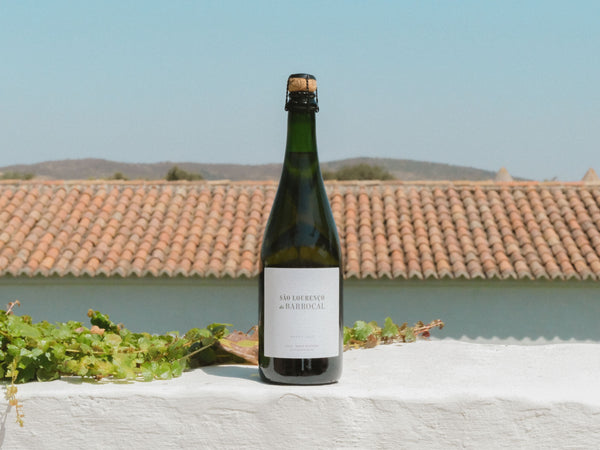 São Lourenço do Barrocal Rosé Sparkling Wine 2022 / <i>Espumante Rosê 2022</i>