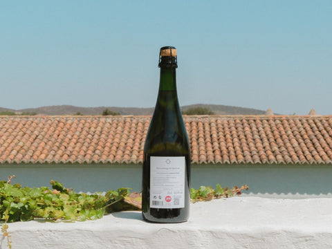 São Lourenço do Barrocal Rosé Sparkling Wine 2022 / <i>Espumante Rosê 2022</i>