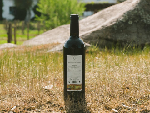 São Lourenço do Barrocal 2021 Regional Red / <i>2021 Regional Tinto</i>