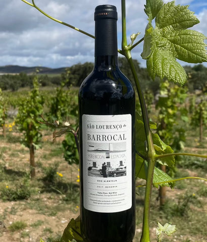 São Lourenço do Barrocal 2017 Red Reserve / <i>2017 Reserva Tinto</i>