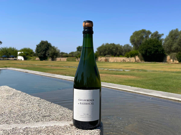 São Lourenço do Barrocal White Sparkling Wine / <i>Espumante Branco</i>