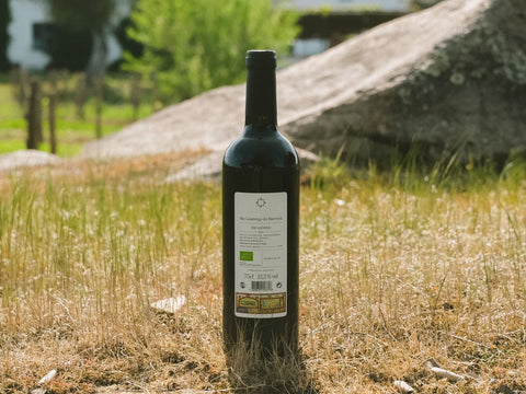 São Lourenço do Barrocal 2021 Regional Red / <i>2021 Regional Tinto</i>